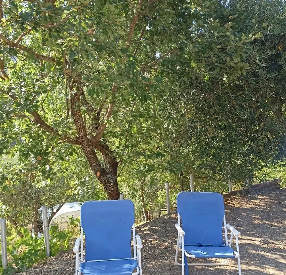 B&B Lavanda E Rosmarino Capolona Couette-café