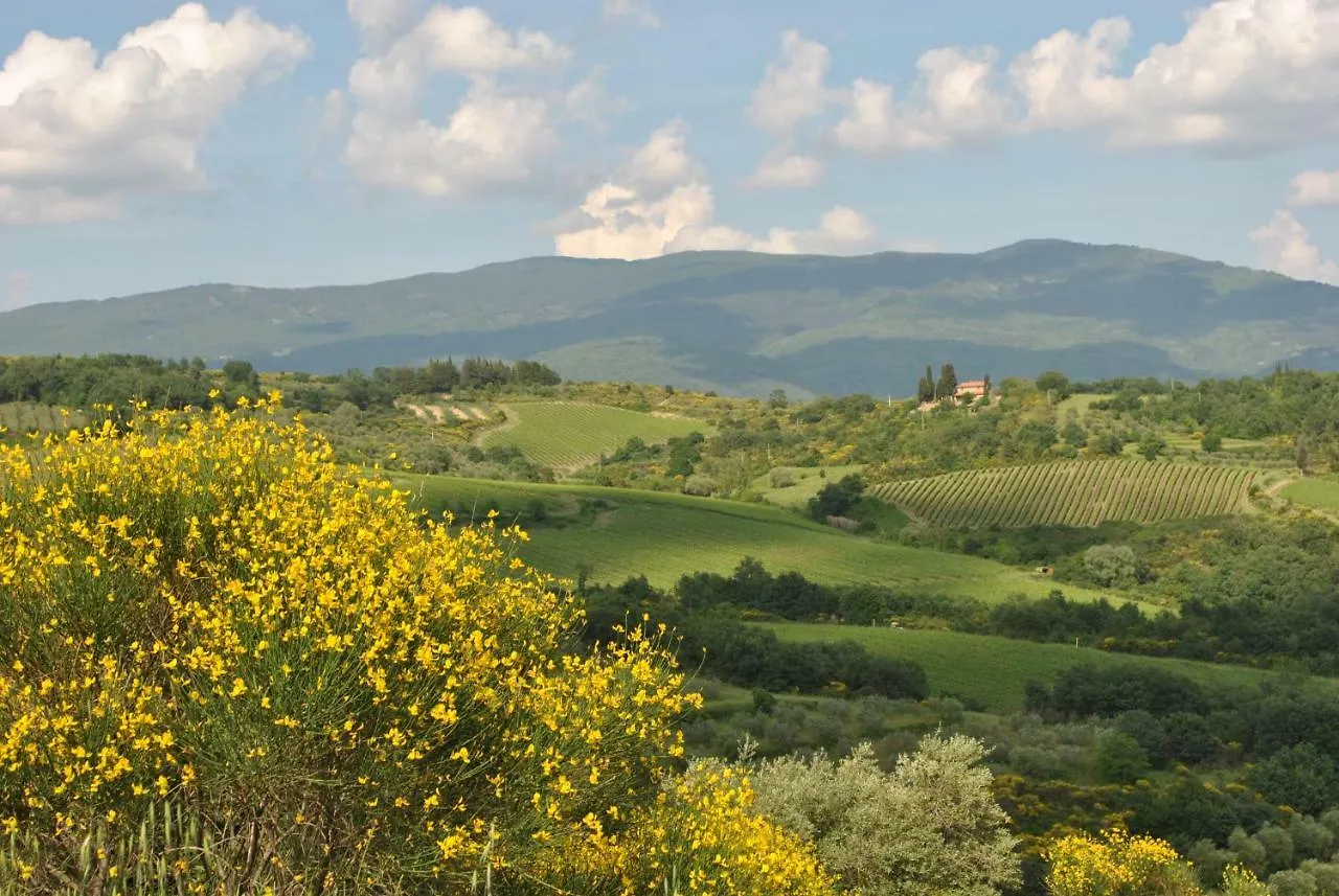 B&B Lavanda E Rosmarino Capolona Italy